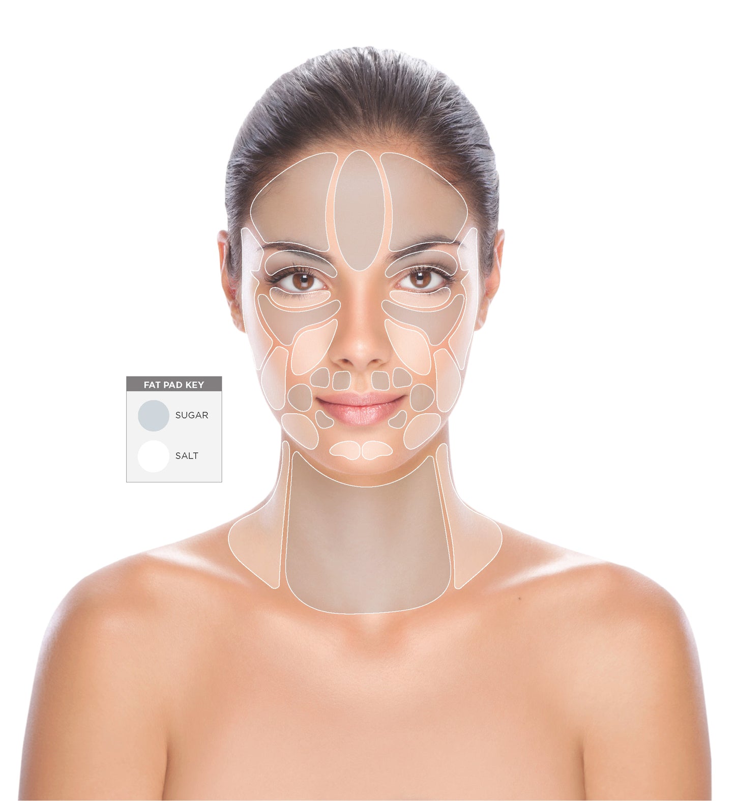 Recovery Soft Gels, Prebiotic, Omega & Fat Pad Renewal